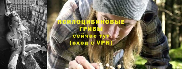 мет Медвежьегорск