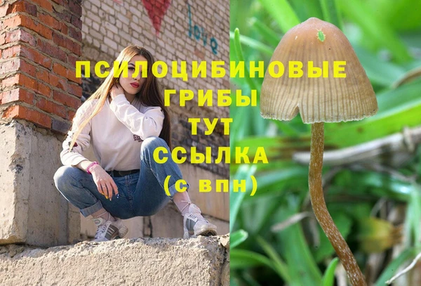 мет Медвежьегорск