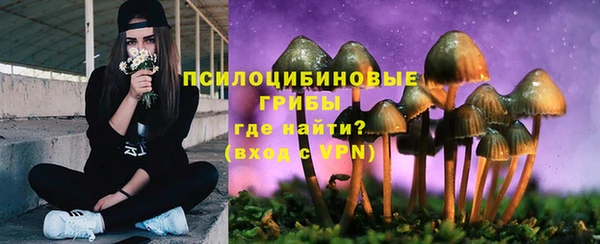 mix Гусиноозёрск